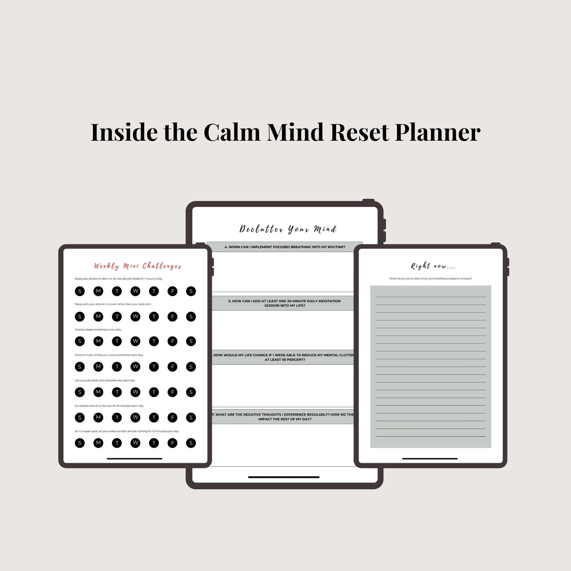 The Calm Mind Reset Planner (Digital Download)